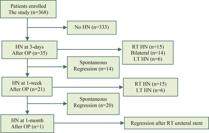 Post-Hysterectomy Transient Hydronephrosis: A Prospective Study.