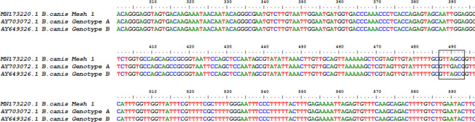 Molecular Identification and Genotyping of Babesia canis in Dogs from Meshkin Shahr County, Northwestern Iran.