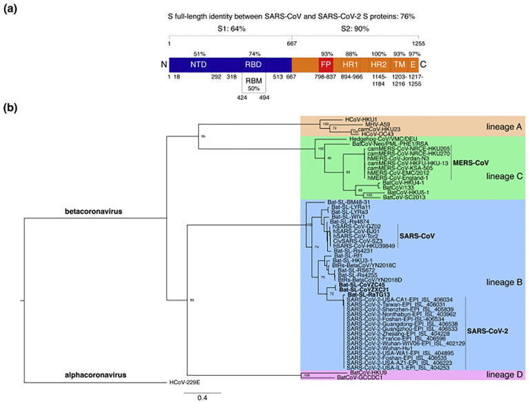 SARS-CoV-2 as Enteric Virus in Wastewater: Which Risk on the Environment and Human Behavior?