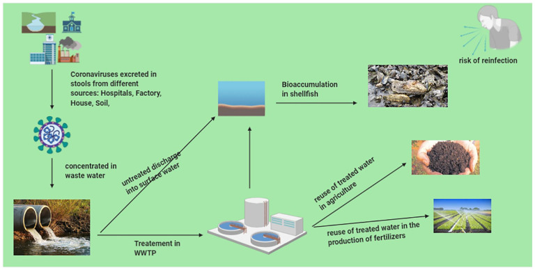 SARS-CoV-2 as Enteric Virus in Wastewater: Which Risk on the Environment and Human Behavior?