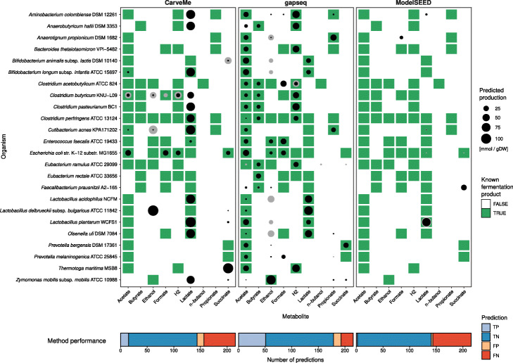 gapseq: informed prediction of bacterial metabolic pathways and reconstruction of accurate metabolic models.