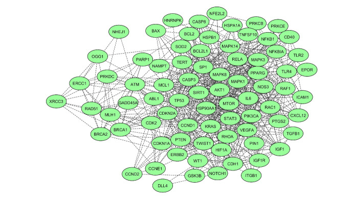 Exploring the differentially expressed genes in human lymphocytes upon response to ionizing radiation: a network biology approach.