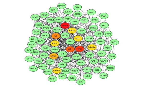 Exploring the differentially expressed genes in human lymphocytes upon response to ionizing radiation: a network biology approach.