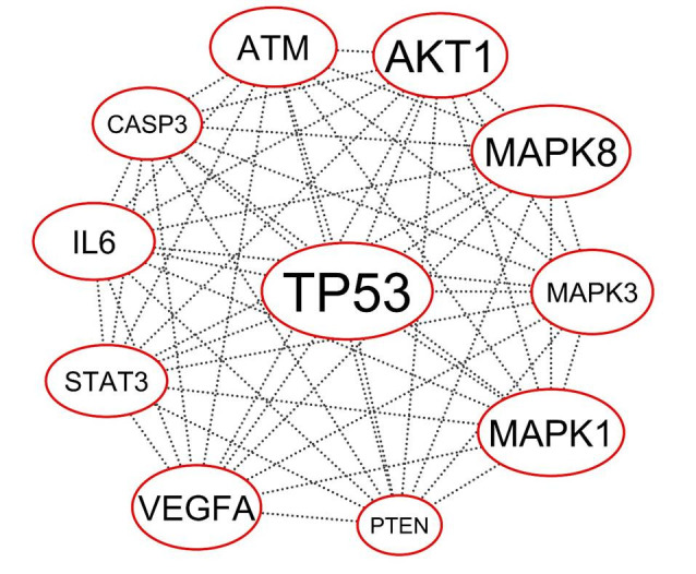 Exploring the differentially expressed genes in human lymphocytes upon response to ionizing radiation: a network biology approach.