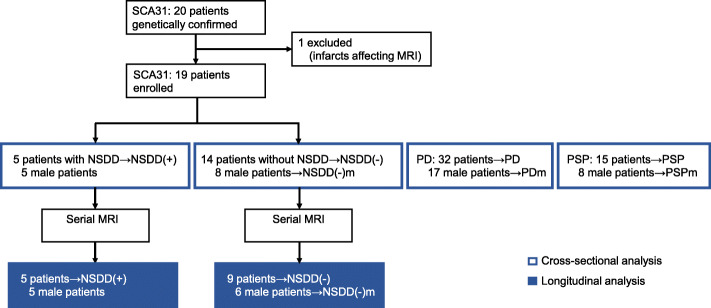 Midbrain atrophy related to parkinsonism in a non-coding repeat expansion disorder: five cases of spinocerebellar ataxia type 31 with nigrostriatal dopaminergic dysfunction.