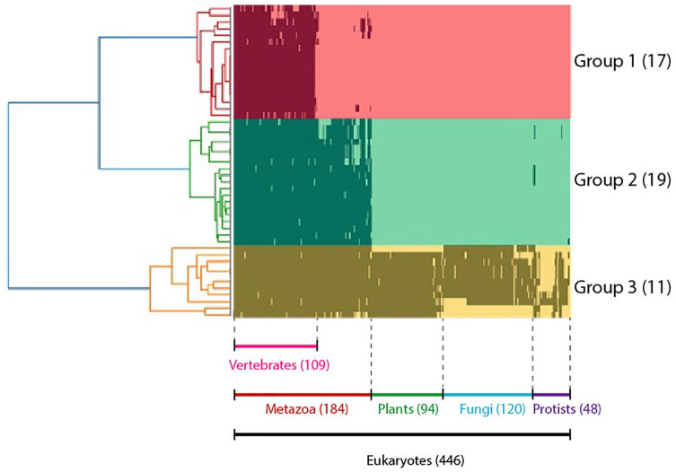 The Functional Classification of ORF8 in SARS-CoV-2 Replication, Immune Evasion, and Viral Pathogenesis Inferred through Phylogenetic Profiling.