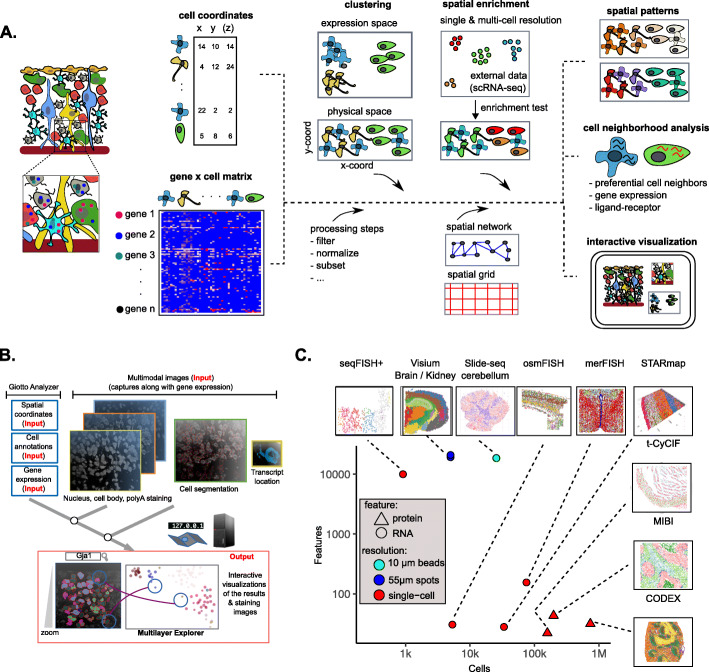 Giotto: a toolbox for integrative analysis and visualization of spatial expression data.