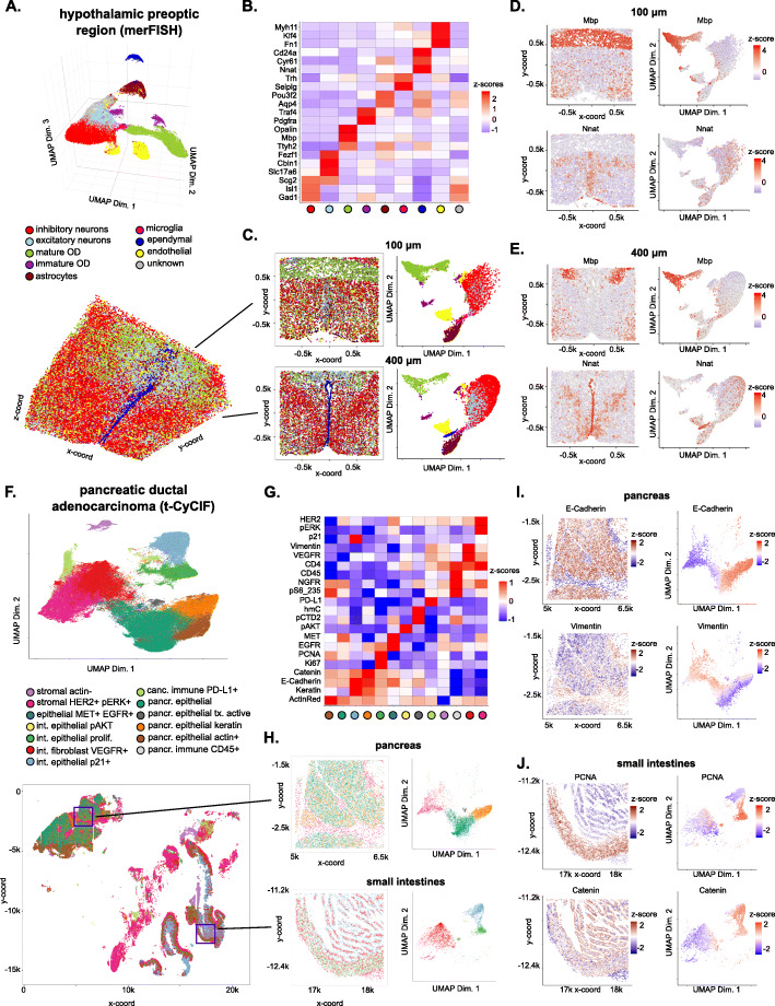 Giotto: a toolbox for integrative analysis and visualization of spatial expression data.