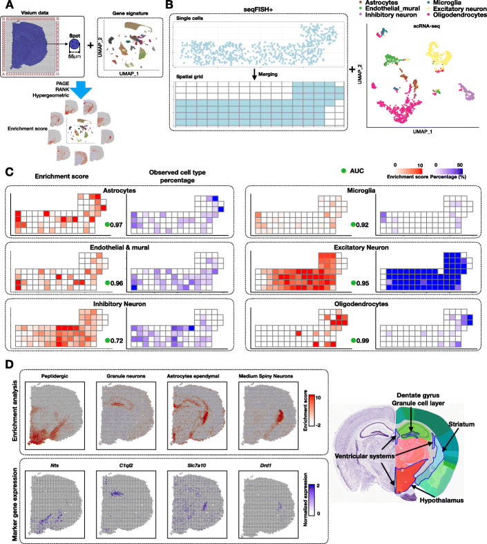 Giotto: a toolbox for integrative analysis and visualization of spatial expression data.