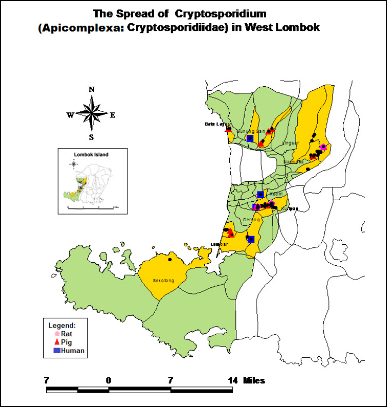 A POTENTIAL ZOONOTIC PARASITE: <i>CRYPTOSPORIDIUM PARVUM</i> TRANSMISSION IN RATS, PIGS AND HUMANS IN WEST LOMBOK, INDONESIA.