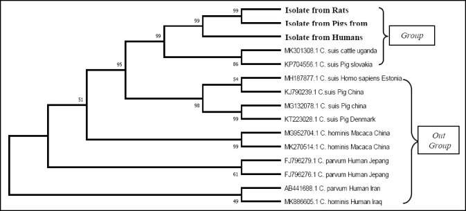 A POTENTIAL ZOONOTIC PARASITE: <i>CRYPTOSPORIDIUM PARVUM</i> TRANSMISSION IN RATS, PIGS AND HUMANS IN WEST LOMBOK, INDONESIA.