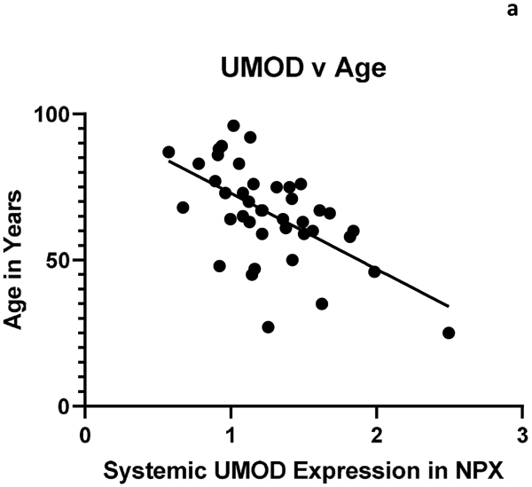 Commentary: Use of BACTRAC Proteomic Database-Uromodulin Protein Expression During Ischemic Stroke.