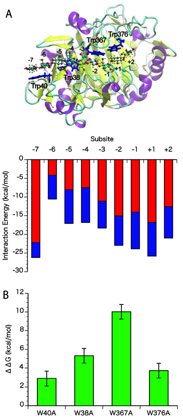 Role of Tryptophan 38 in Loading Substrate Chain into the Active-site Tunnel of Cellobiohydrolase I from <i>Trichoderma reesei</i>.