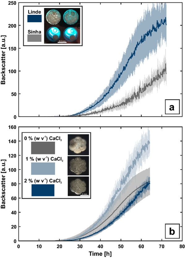 A fully automated pipeline for the dynamic at-line morphology analysis of microscale Aspergillus cultivation.