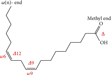 Overconsumption of Omega-6 Polyunsaturated Fatty Acids (PUFAs) versus Deficiency of Omega-3 PUFAs in Modern-Day Diets: The Disturbing Factor for Their "Balanced Antagonistic Metabolic Functions" in the Human Body.