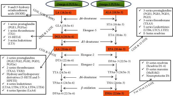 Overconsumption of Omega-6 Polyunsaturated Fatty Acids (PUFAs) versus Deficiency of Omega-3 PUFAs in Modern-Day Diets: The Disturbing Factor for Their "Balanced Antagonistic Metabolic Functions" in the Human Body.