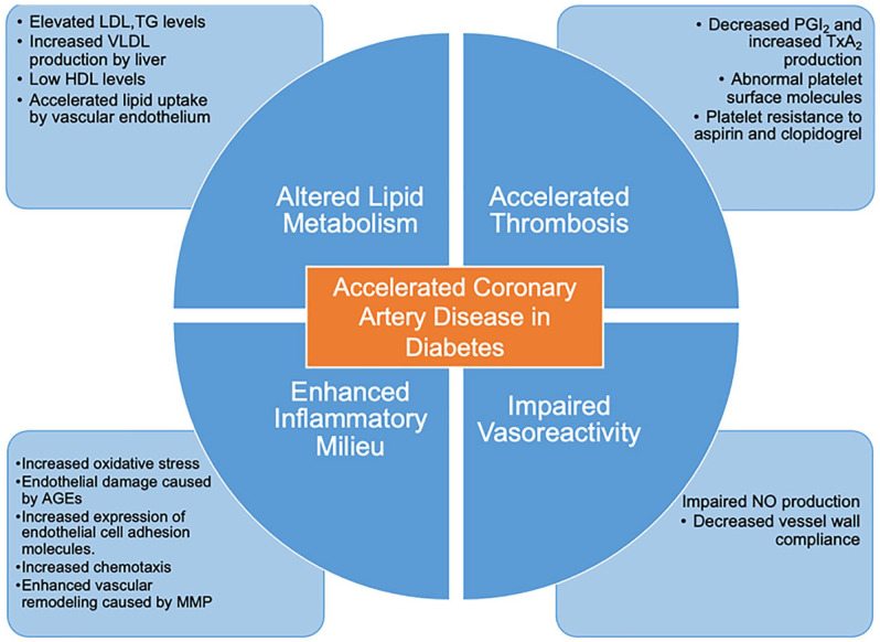 Coronary revascularization in patients with stable coronary disease and diabetes mellitus.