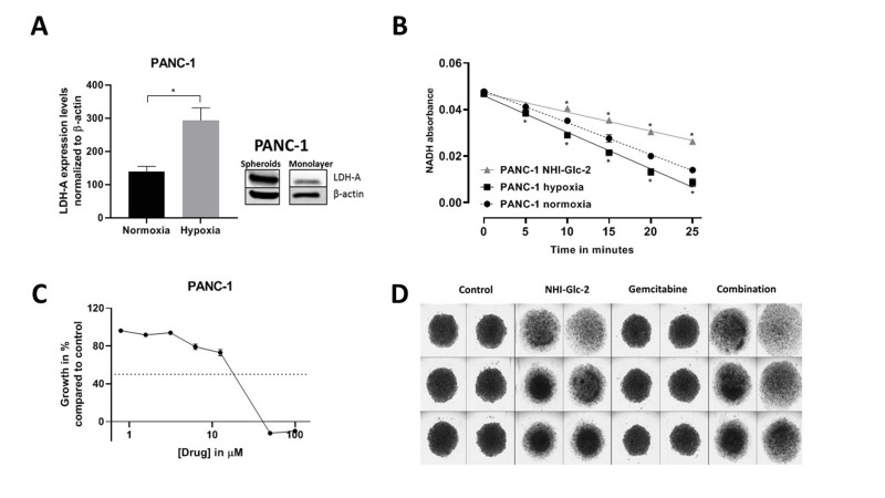 Correction: Lactate dehydrogenase A inhibition by small molecular entities: steps in the right direction.