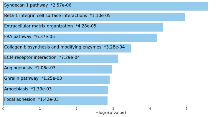 Updates on Genes and Genetic Mechanisms Implicated in Primary Angle-Closure Glaucoma.