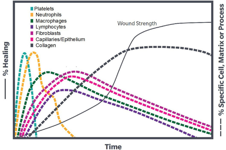 The Use of Autologous Protein Solution (Pro-Stride<sup>®</sup>) and Leukocyte-Rich Platelet-Rich Plasma (Restigen<sup>®</sup>) in Canine Medicine.