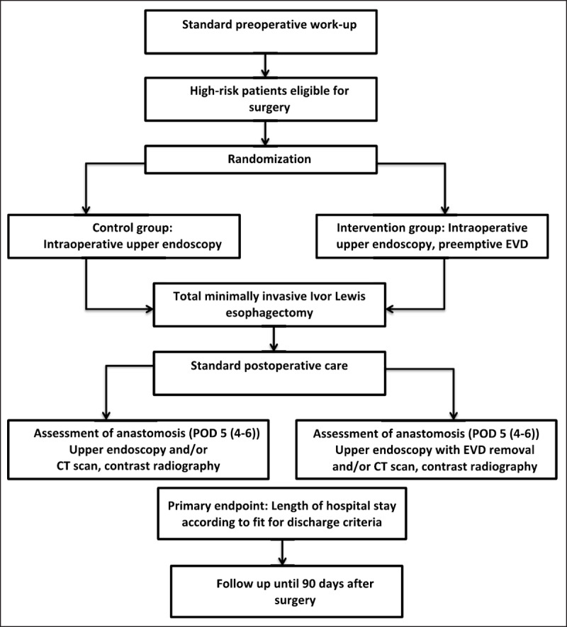 Pre-Emptive Endoluminal Negative Pressure Therapy at the Anastomotic Site in Minimally Invasive Transthoracic Esophagectomy (the preSPONGE Trial): Study Protocol for a Multicenter Randomized Controlled Trial.