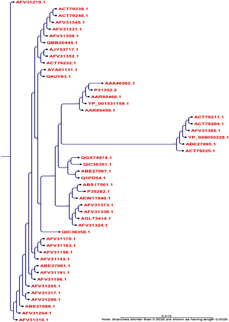 Vaccinomics approach for scheming potential epitope-based peptide vaccine by targeting l-protein of Marburg virus.