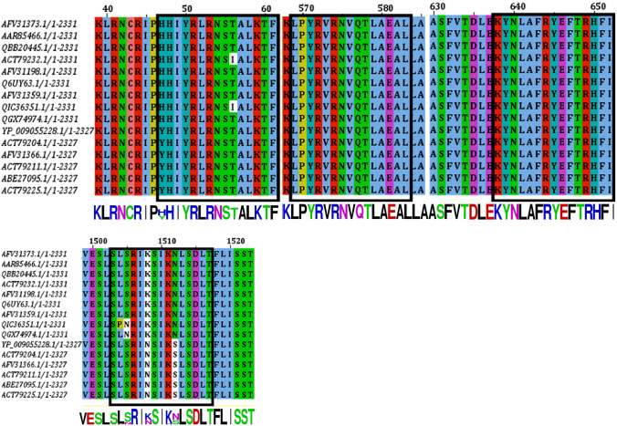 Vaccinomics approach for scheming potential epitope-based peptide vaccine by targeting l-protein of Marburg virus.