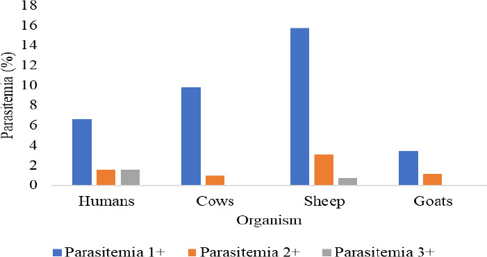 PREVALENCE OF ZOONOTIC <i>CRYPTOSPORIDIUM SPP</i>. ISOLATES IN NJORO SUB-COUNTY, NAKURU COUNTY, KENYA.