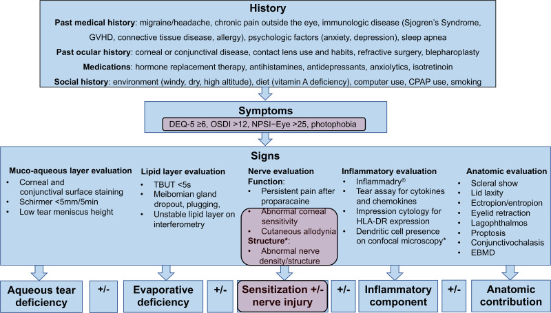 Exploring the Link Between Dry Eye and Migraine: From Eye to Brain.