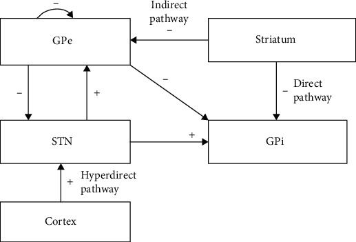 Interaction of Indirect and Hyperdirect Pathways on Synchrony and Tremor-Related Oscillation in the Basal Ganglia.