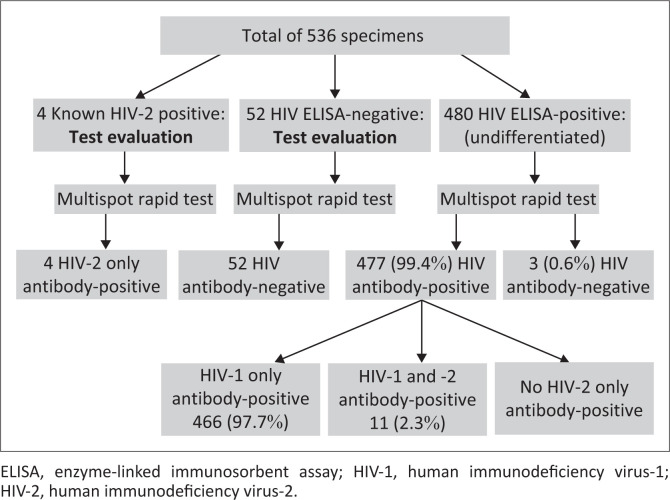 HIV-1/2 differentiation in a South African public laboratory.