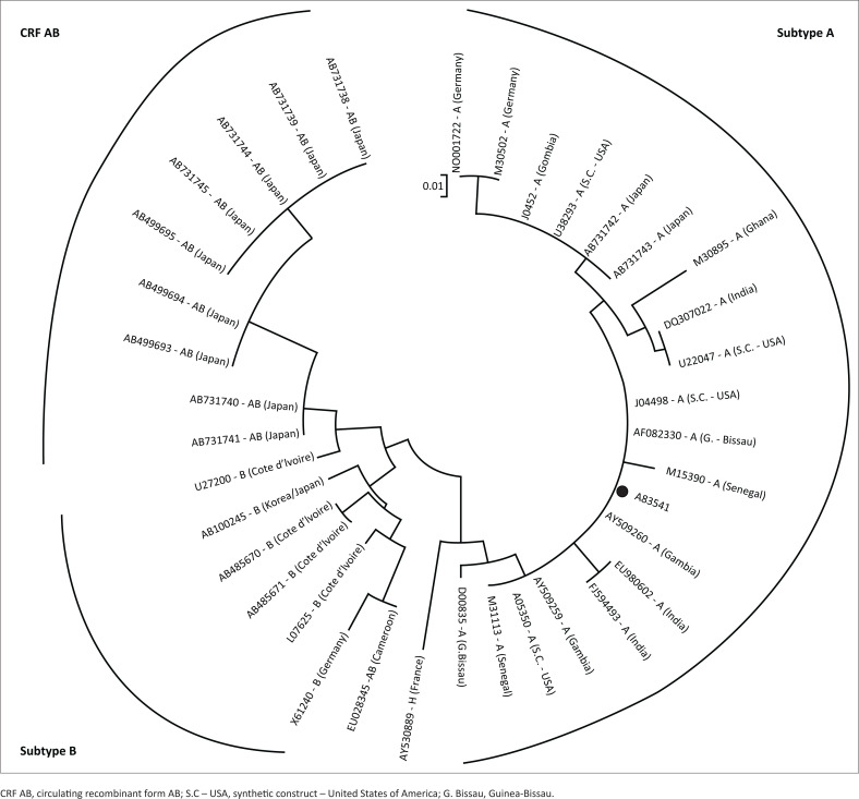 HIV-1/2 differentiation in a South African public laboratory.