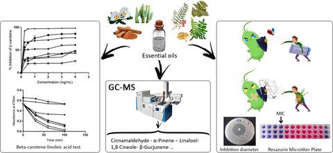 Identification of the chemical composition of six essential oils with mass spectroscopy and evaluation of their antibacterial and antioxidant potential