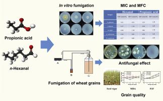 Effects of hexanal fumigation on fungal spoilage and grain quality of stored wheat