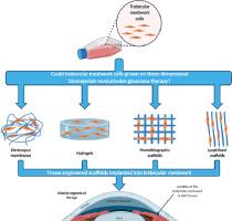 Exploiting biomaterial approaches to manufacture an artificial trabecular meshwork: A progress report