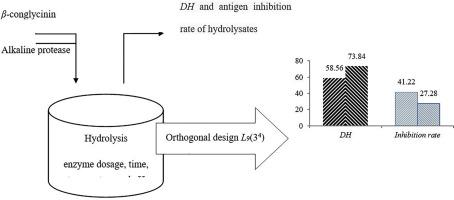 Study on enzymatic hydrolysis of soybean β-conglycinin using alkaline protease from Bacillus subtilis ACCC 01746 and antigenicity of its hydrolysates