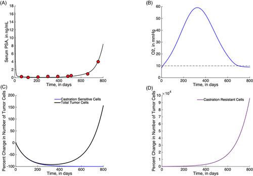 Relating prostate-specific antigen leakage with vascular tumor growth in a mathematical model of prostate cancer response to androgen deprivation