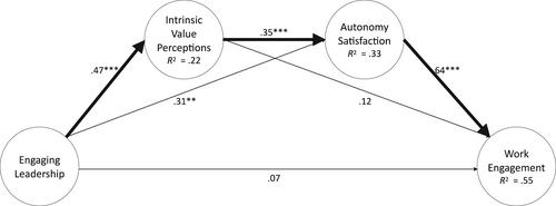 Engaging leadership: Enhancing work engagement through intrinsic values and need satisfaction