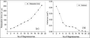 Orientational dynamics of magnetotactic bacteria in Earth’s magnetic field—a simulation study