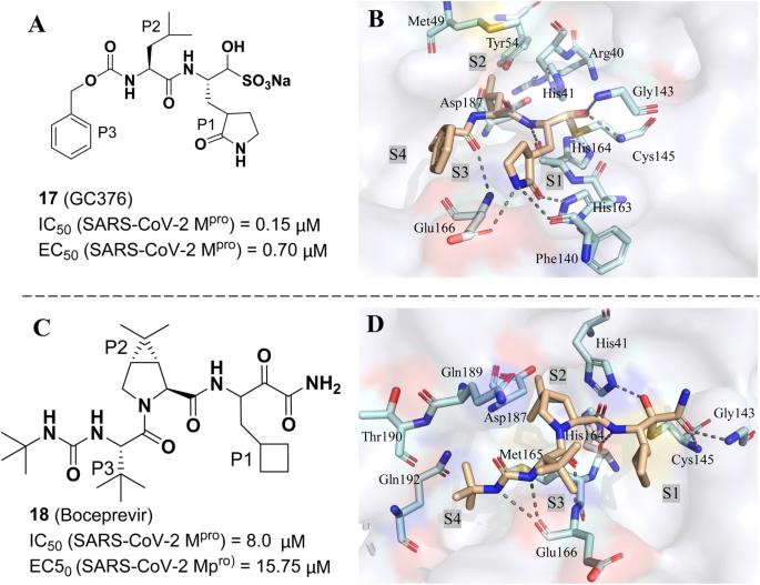 Insights into SARS-CoV-2: Medicinal Chemistry Approaches to Combat Its Structural and Functional Biology