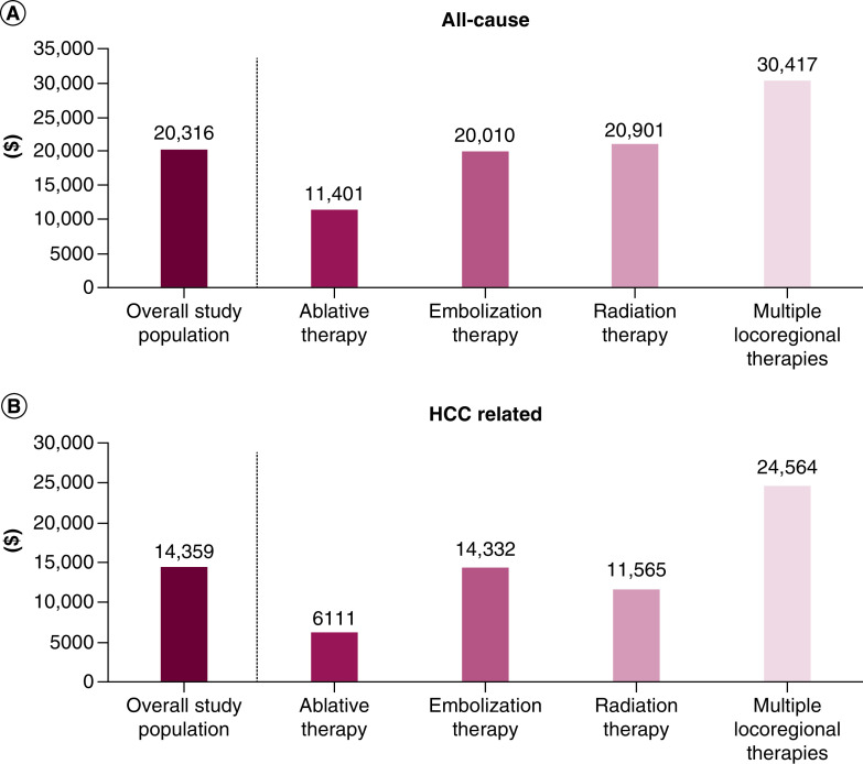 Locoregional therapy patterns and healthcare economic burden of patients with hepatocellular carcinoma in the USA.