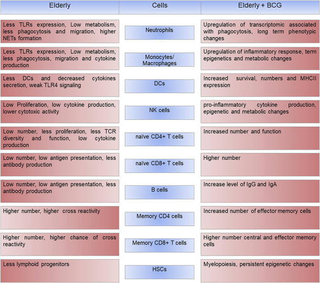 Deadly COVID-19 among the elderly: Innate immune memory helping those most in need.