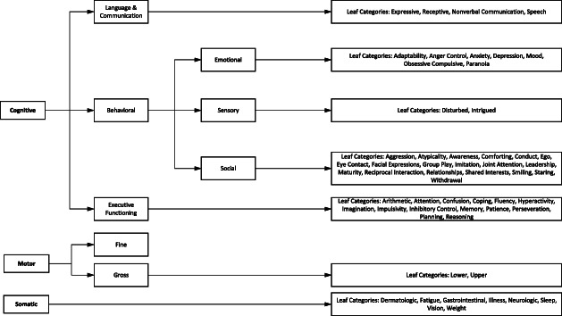 Project Rosetta: a childhood social, emotional, and behavioral developmental feature mapping.