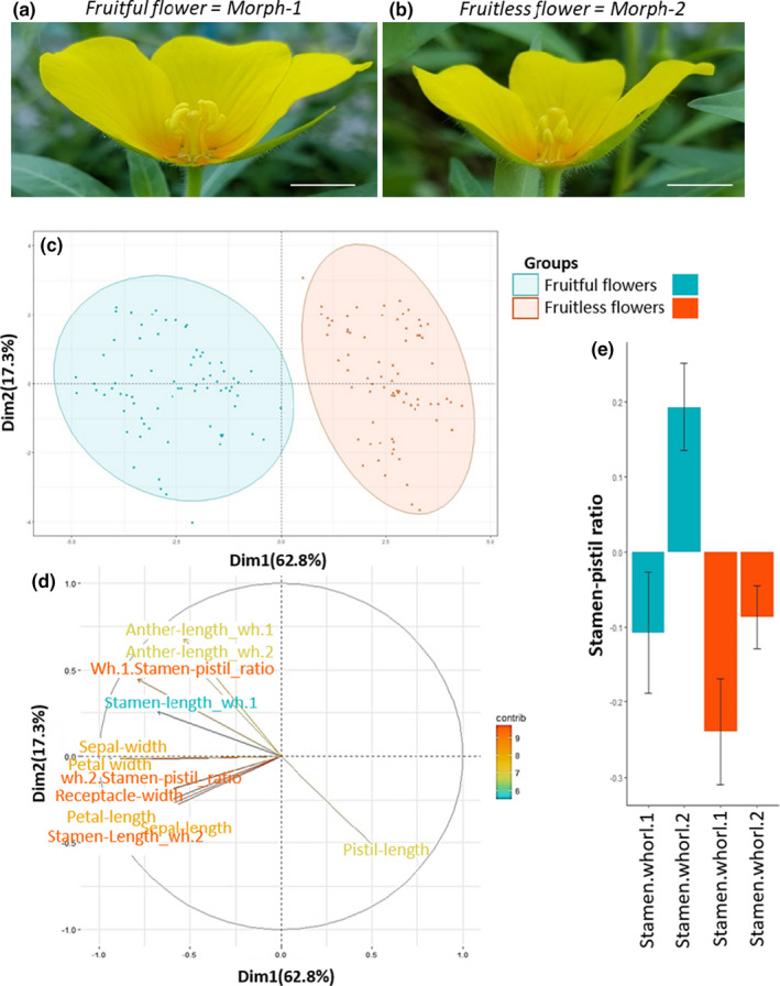 Self-incompatibility limits sexual reproduction rather than environmental conditions in an invasive water primrose.