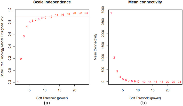 Weighted gene co-expression network analysis of hub genes in lung adenocarcinoma.