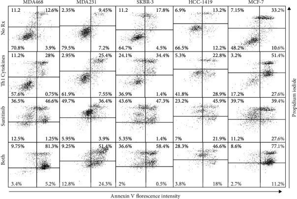 Sunitinib Combined with Th1 Cytokines Potentiates Apoptosis in Human Breast Cancer Cells and Suppresses Tumor Growth in a Murine Model of HER-2<sup>pos</sup> Breast Cancer.