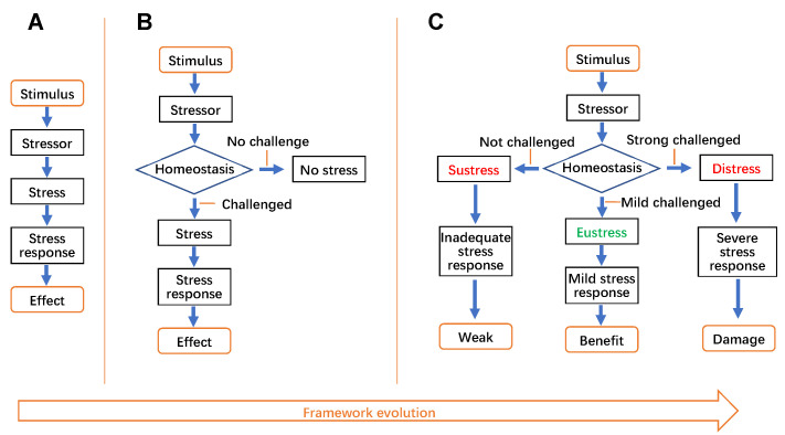 The evolution of the concept of stress and the framework of the stress system.