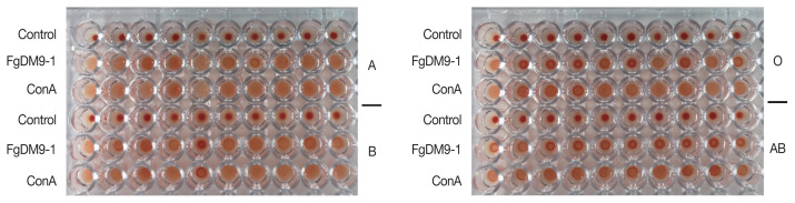 Agglutination Activity of Fasciola gigantica DM9-1, a Mannose-Binding Lectin.