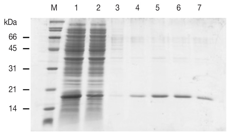 Agglutination Activity of Fasciola gigantica DM9-1, a Mannose-Binding Lectin.