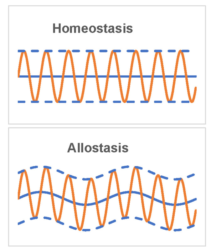 The evolution of the concept of stress and the framework of the stress system.